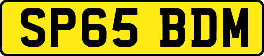 SP65BDM