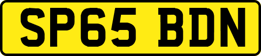 SP65BDN