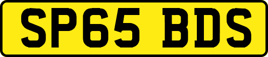 SP65BDS