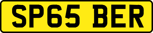 SP65BER