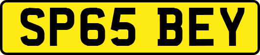 SP65BEY