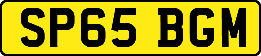 SP65BGM