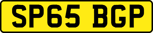 SP65BGP
