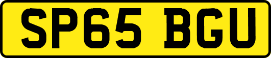 SP65BGU
