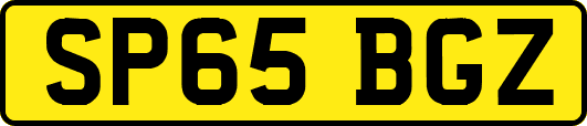 SP65BGZ