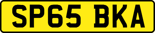 SP65BKA