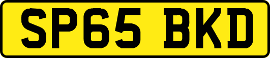 SP65BKD