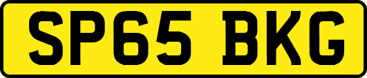 SP65BKG