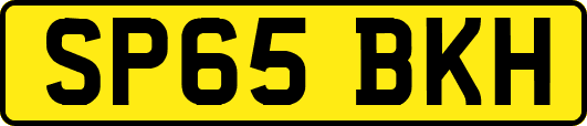 SP65BKH