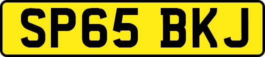 SP65BKJ