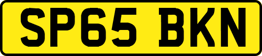 SP65BKN