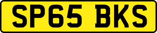 SP65BKS