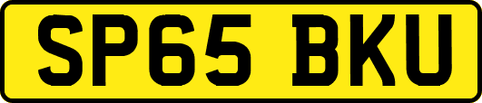 SP65BKU