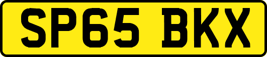 SP65BKX