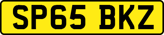 SP65BKZ