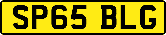 SP65BLG