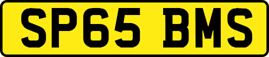 SP65BMS