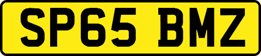 SP65BMZ