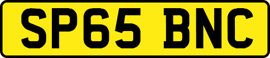 SP65BNC