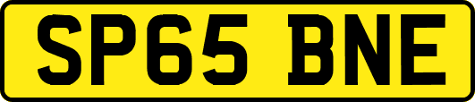 SP65BNE