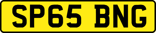 SP65BNG