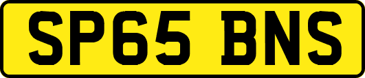 SP65BNS