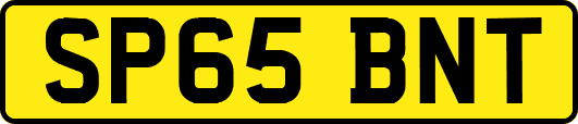 SP65BNT