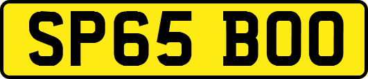 SP65BOO