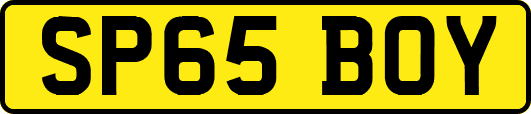 SP65BOY