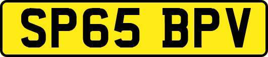 SP65BPV