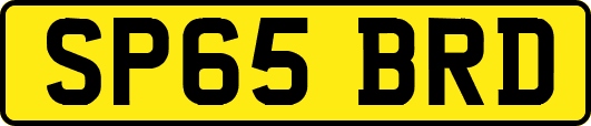SP65BRD