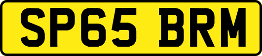 SP65BRM