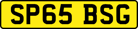 SP65BSG