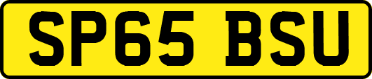SP65BSU
