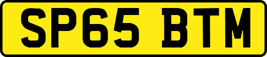 SP65BTM