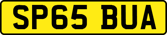 SP65BUA