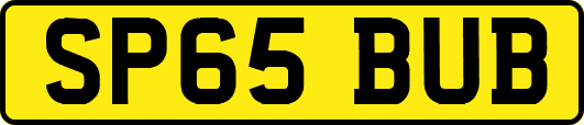 SP65BUB
