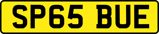 SP65BUE