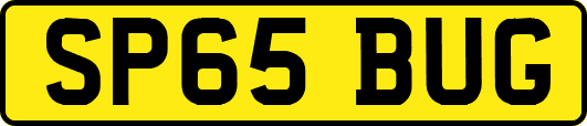 SP65BUG