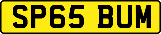 SP65BUM