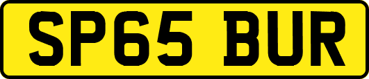 SP65BUR