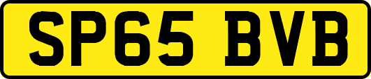 SP65BVB