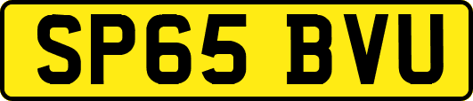 SP65BVU