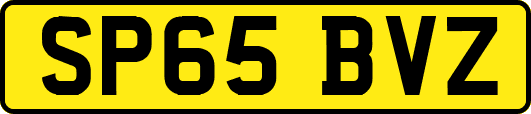 SP65BVZ