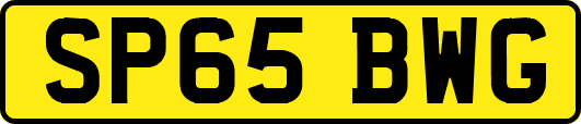 SP65BWG