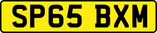 SP65BXM