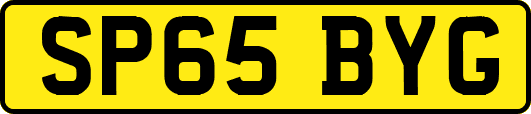 SP65BYG