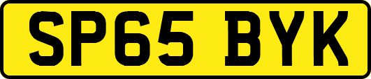 SP65BYK