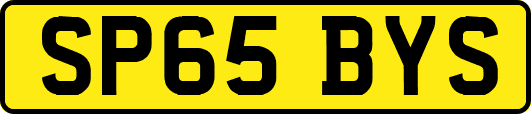 SP65BYS