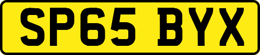 SP65BYX